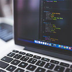 原来入口不只一个：蘑菇短视频现在还能不能正常找难怪最近讨论声越来越大