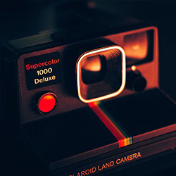 连老用户都容易看漏的，蘑菇影视官网这个词，难怪最近讨论声越来越大