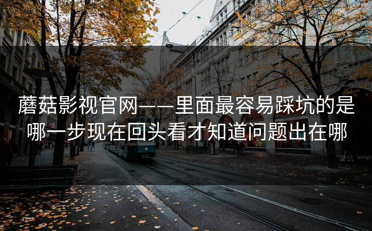蘑菇影视官网——里面最容易踩坑的是哪一步现在回头看才知道问题出在哪