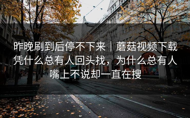 昨晚刷到后停不下来｜蘑菇视频下载凭什么总有人回头找，为什么总有人嘴上不说却一直在搜