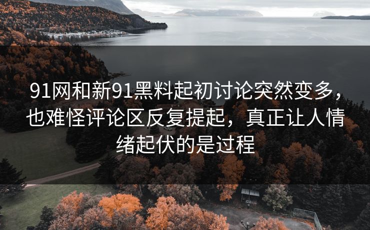 91网和新91黑料起初讨论突然变多，也难怪评论区反复提起，真正让人情绪起伏的是过程