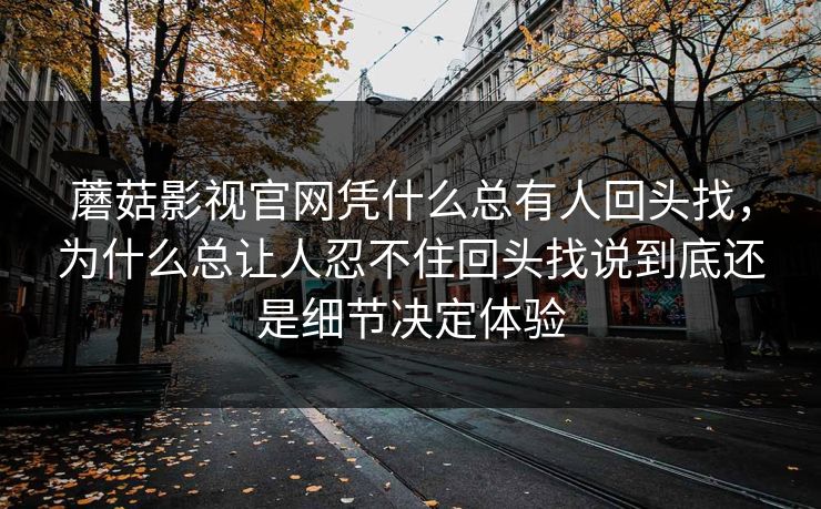 蘑菇影视官网凭什么总有人回头找,为什么总让人忍不住回头找说到底还是细节决定体验 蘑菇影视官网凭什么总有人回头找,为什么总让人忍不住回头找说到底还是细节决定体验